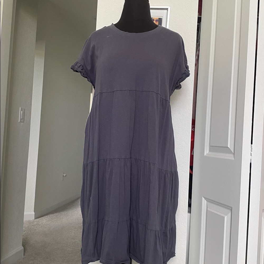 Time and Tru Women's Gray Dress